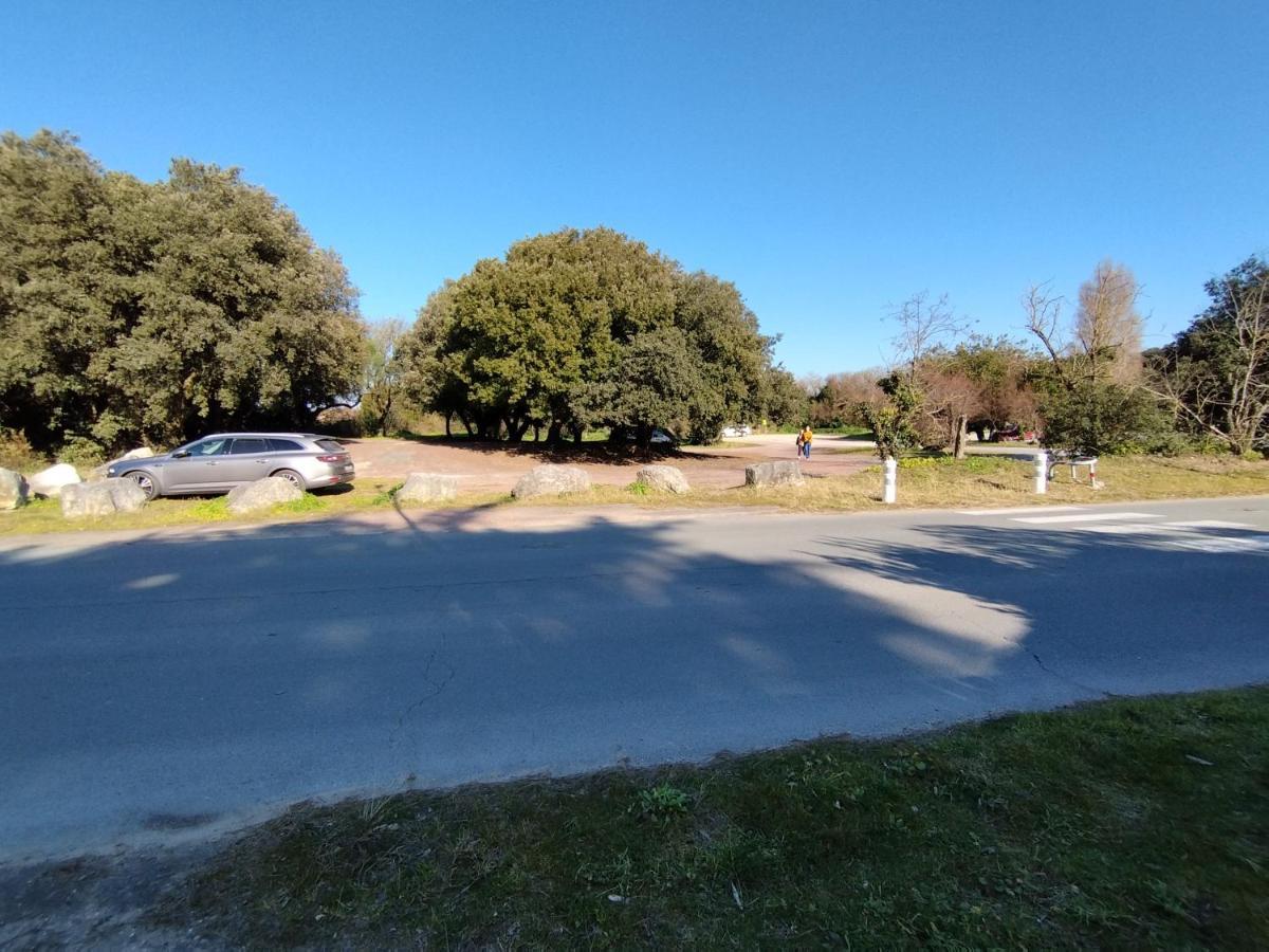 A 80M De La Plage De Plaisance Pour 8 Personnes Saint-Georges-d'Oleron Bagian luar foto